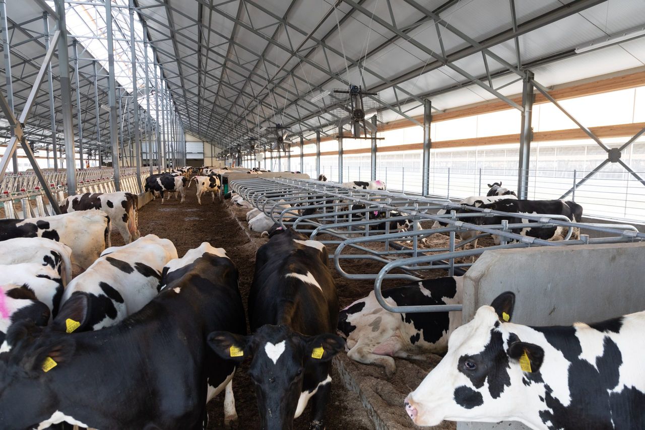 DAFM: Important nitrates deadlines for 2025