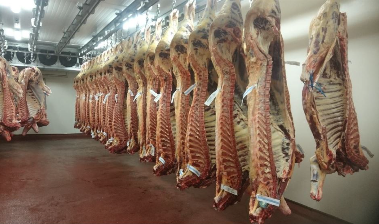 Beef kill: 2026 cattle kill over 72,000 head behind last year to date