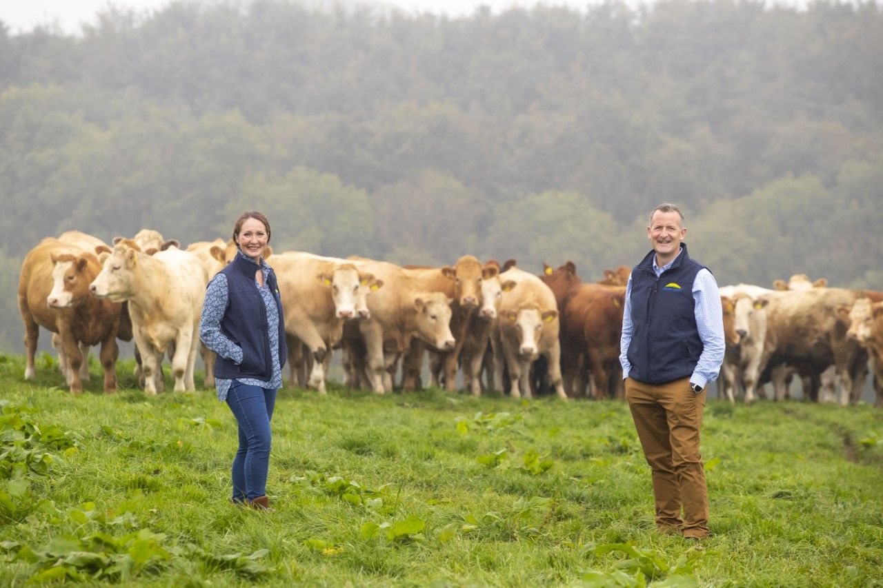 Dawn Meats to invest €100 million in 2040 net-zero target
