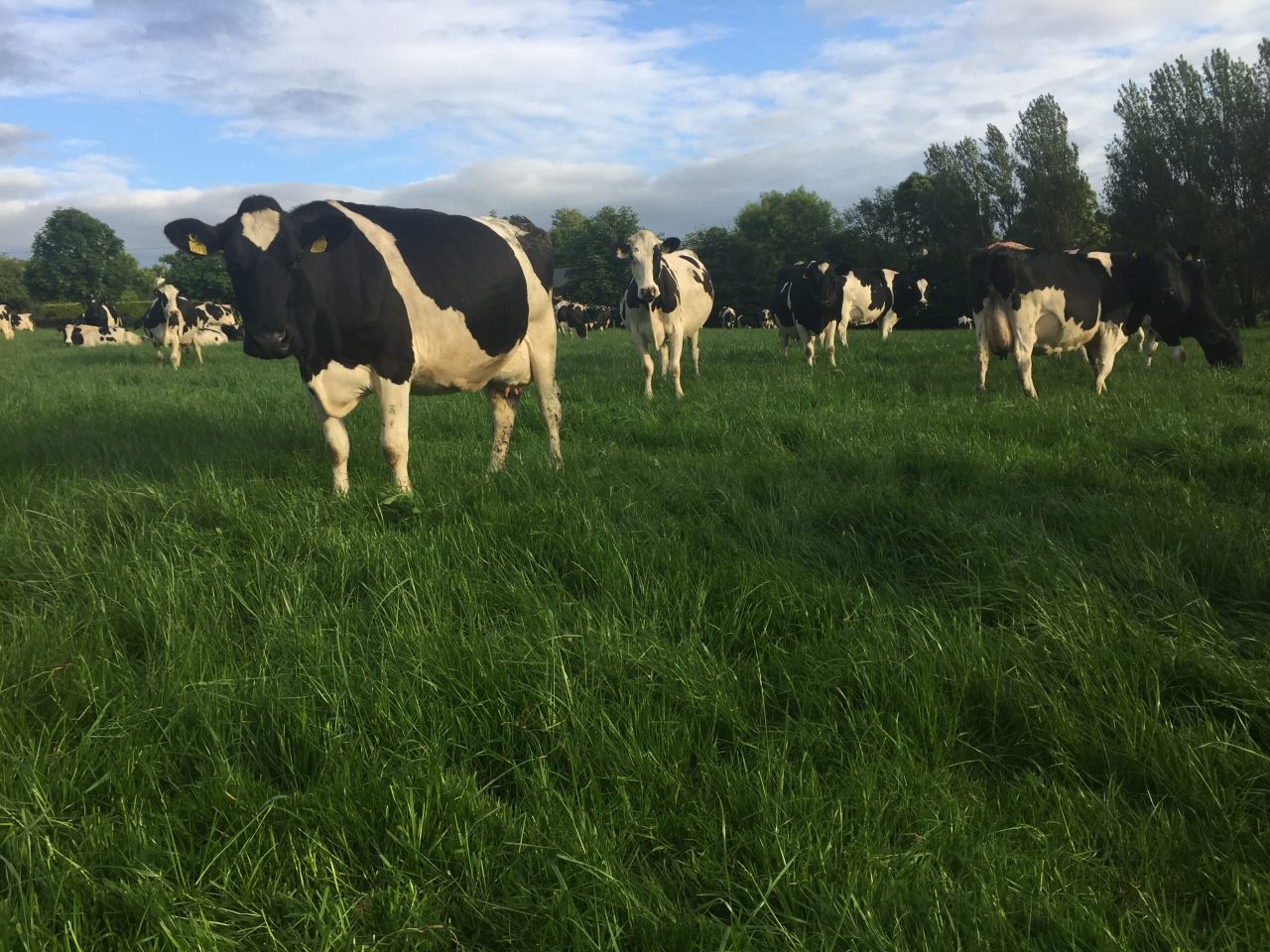 The 40-year journey: How one farmer progressed from manager to owner