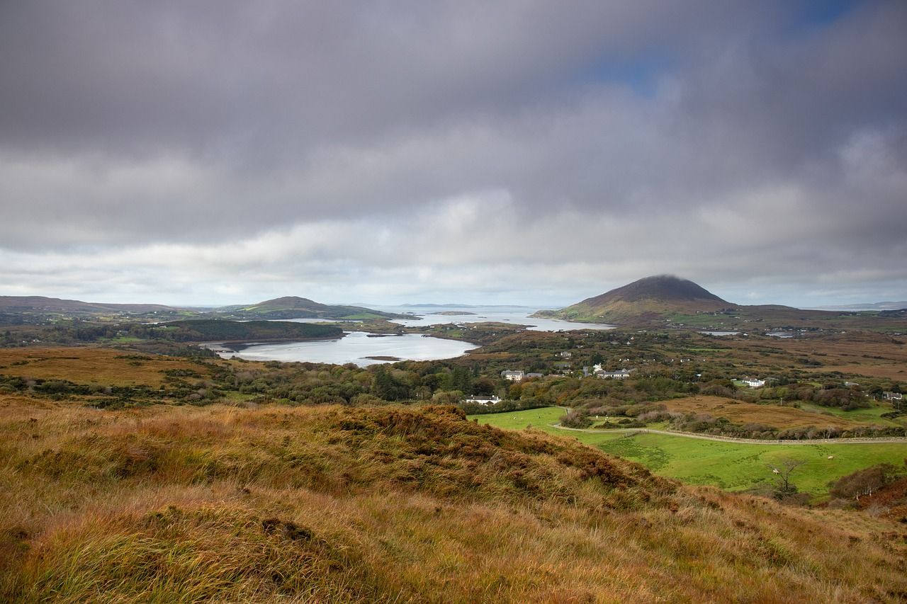 Coillte refused permission to fell over 200ha for peatland restoration