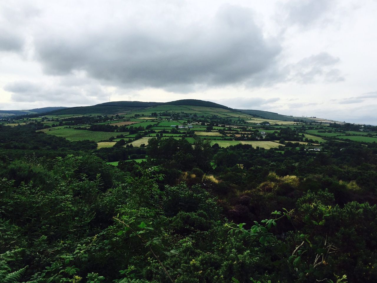 Hill farmers call for 'fair' land eligibility inspections