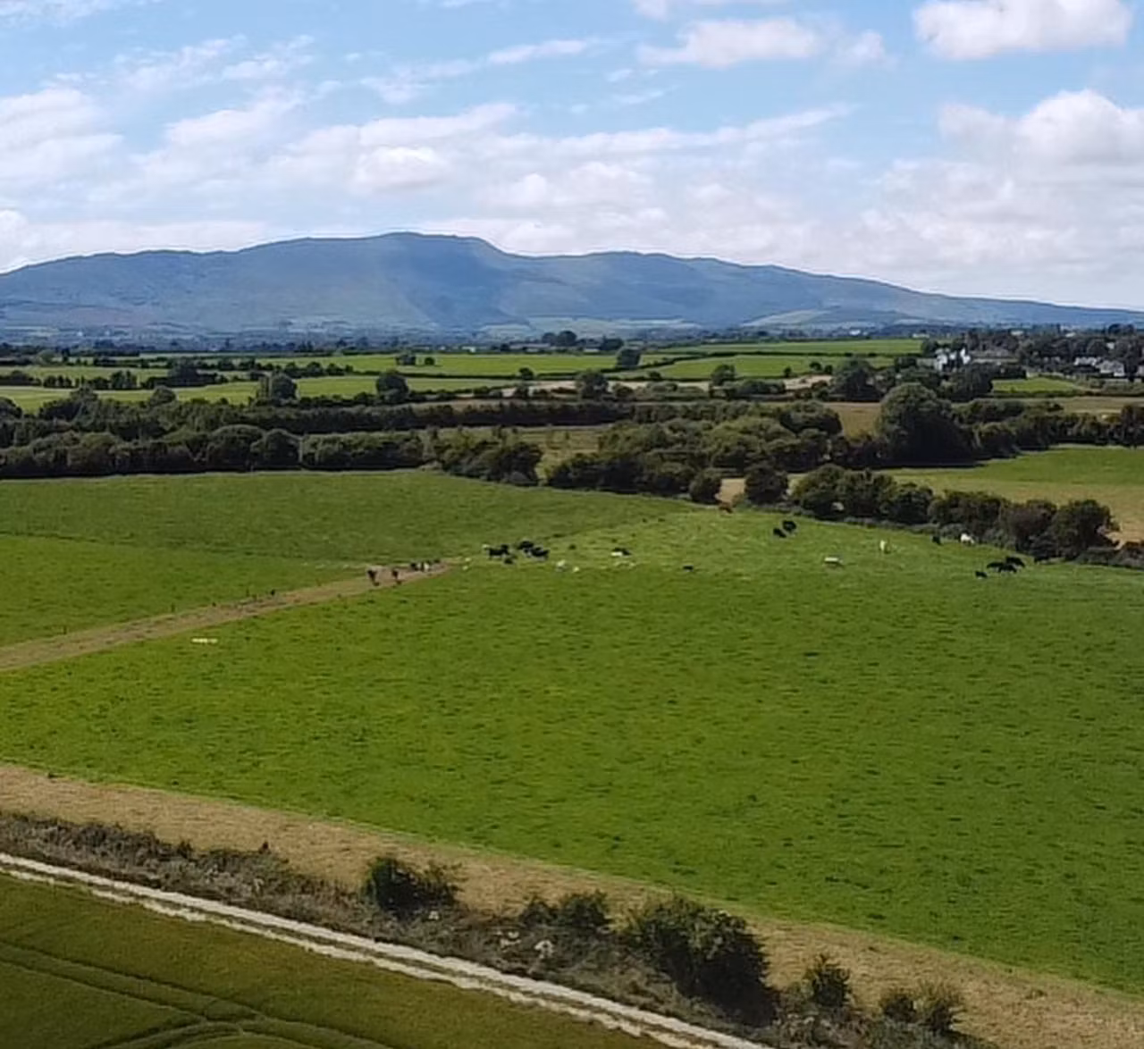 Carrick-on-Suir farm 'one of finest on market'