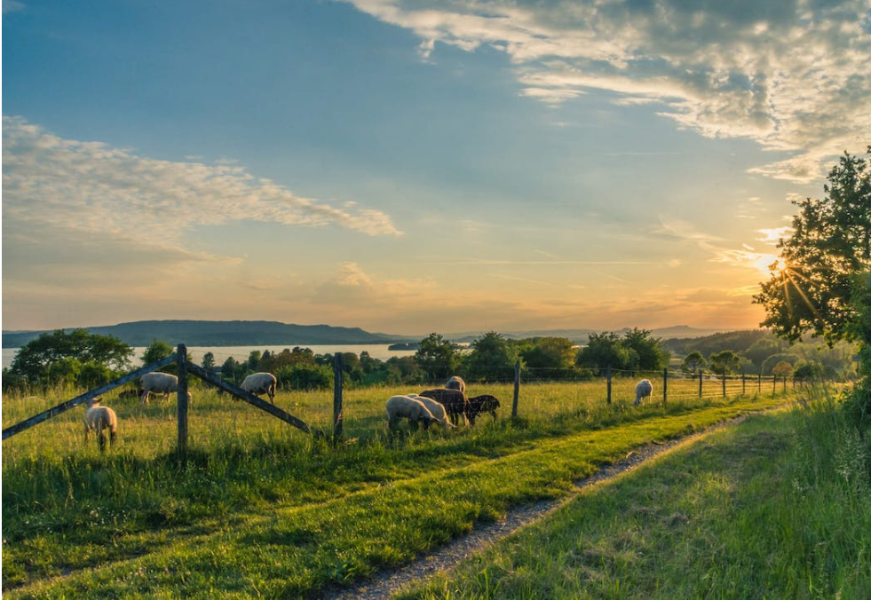 ACRES: Over 380 farmers still waiting for interim payment
