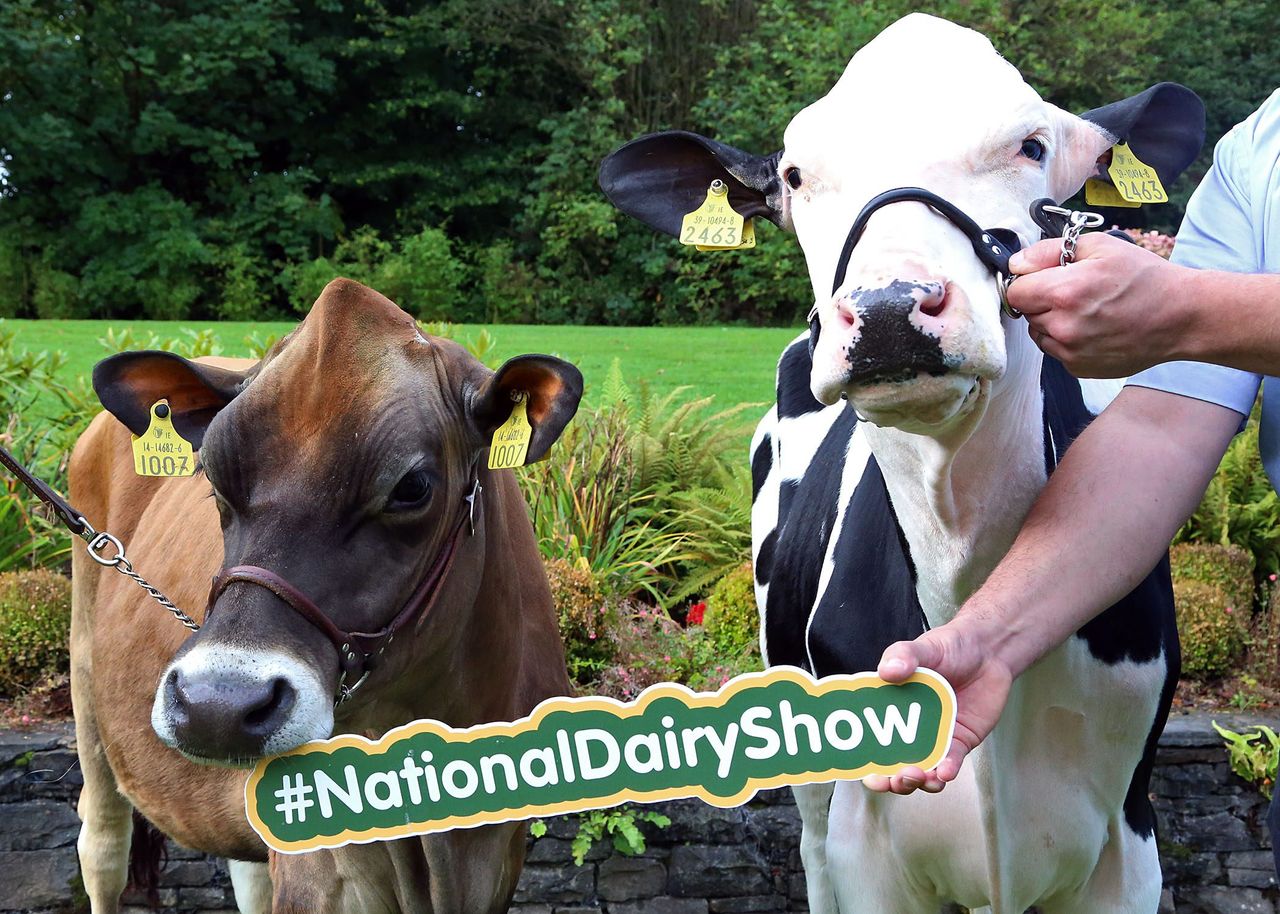 Celeb chef and rugby star 'line-out' for National Dairy Show 2017