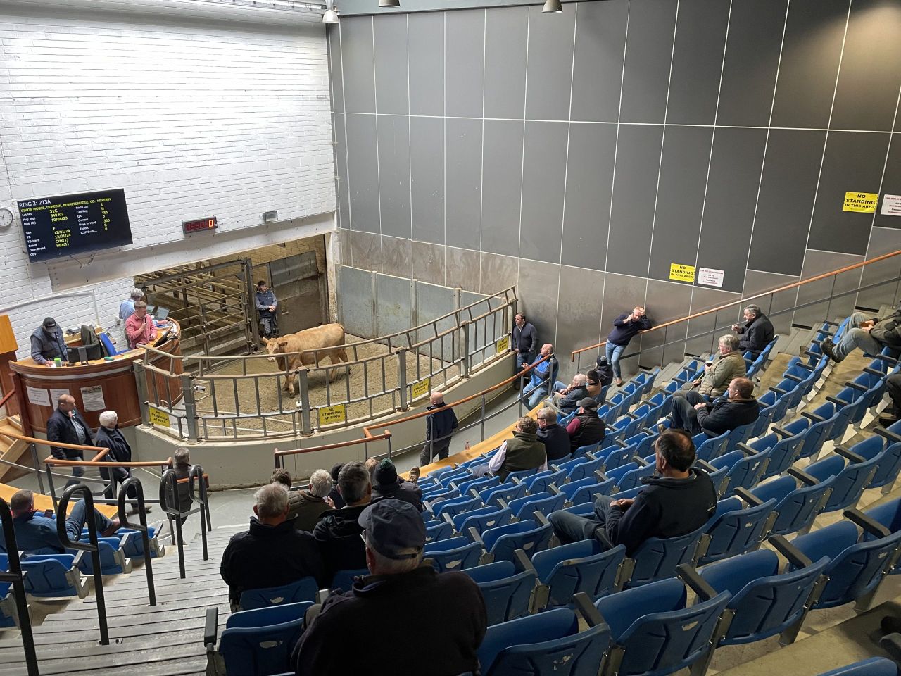 Heavy bullocks average €3.27/kg at Kilkenny Mart