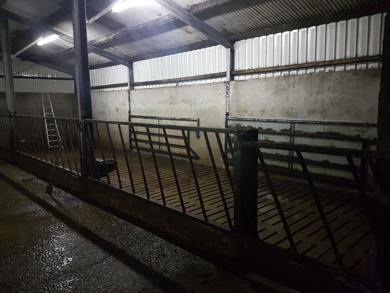 'Production reduction' suckler measure mooted