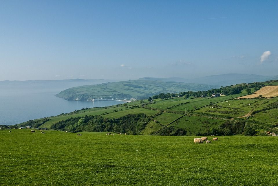 ICSA: Budget payments 'fall short' of 'safeguarding' family farms