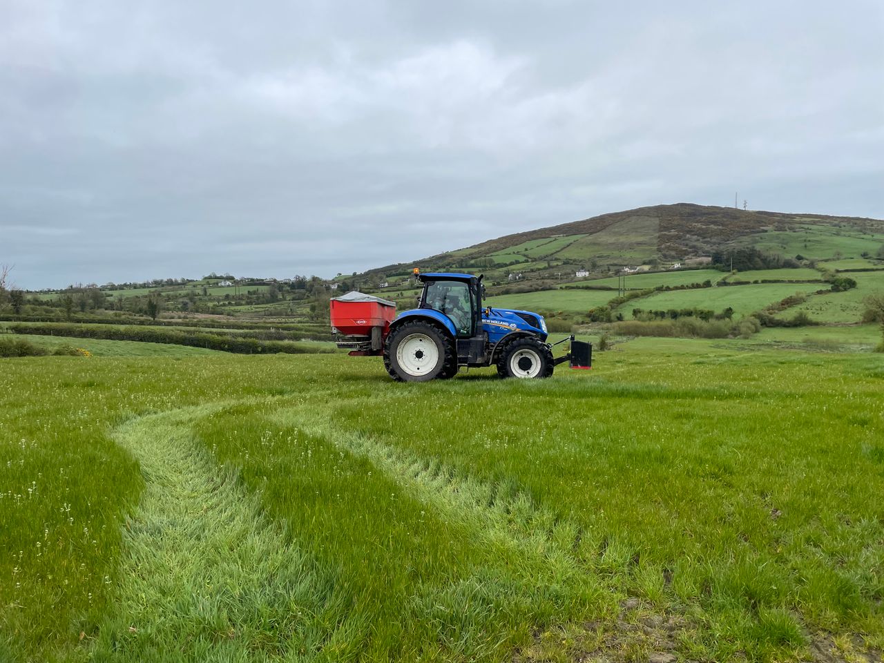 How many 'young farmers' applied for BISS this year?