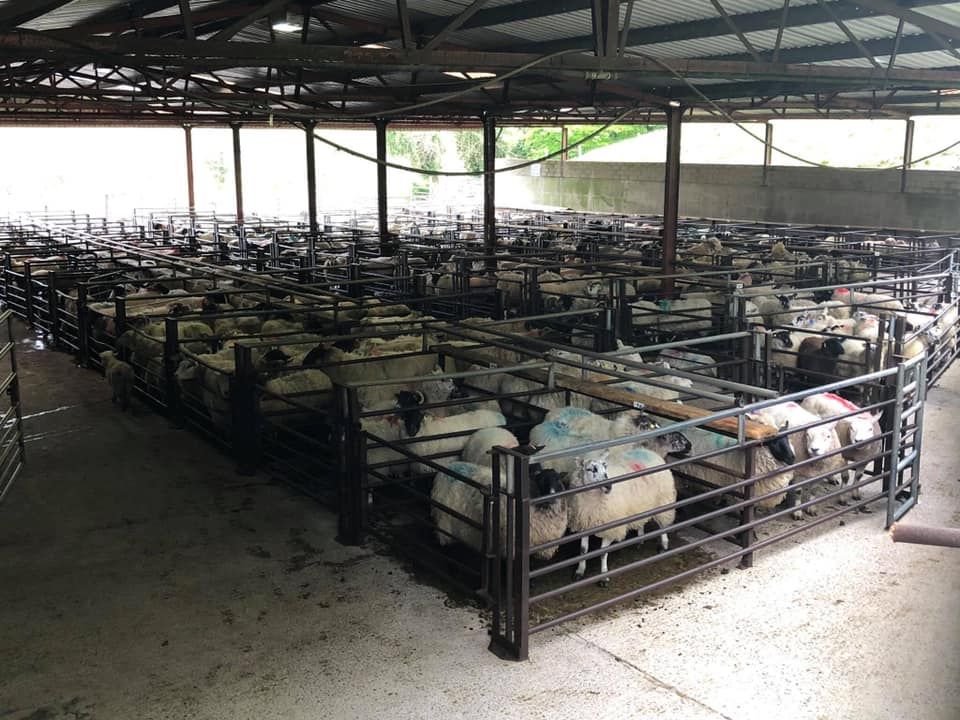 Dowra Mart cancels all sales for this week