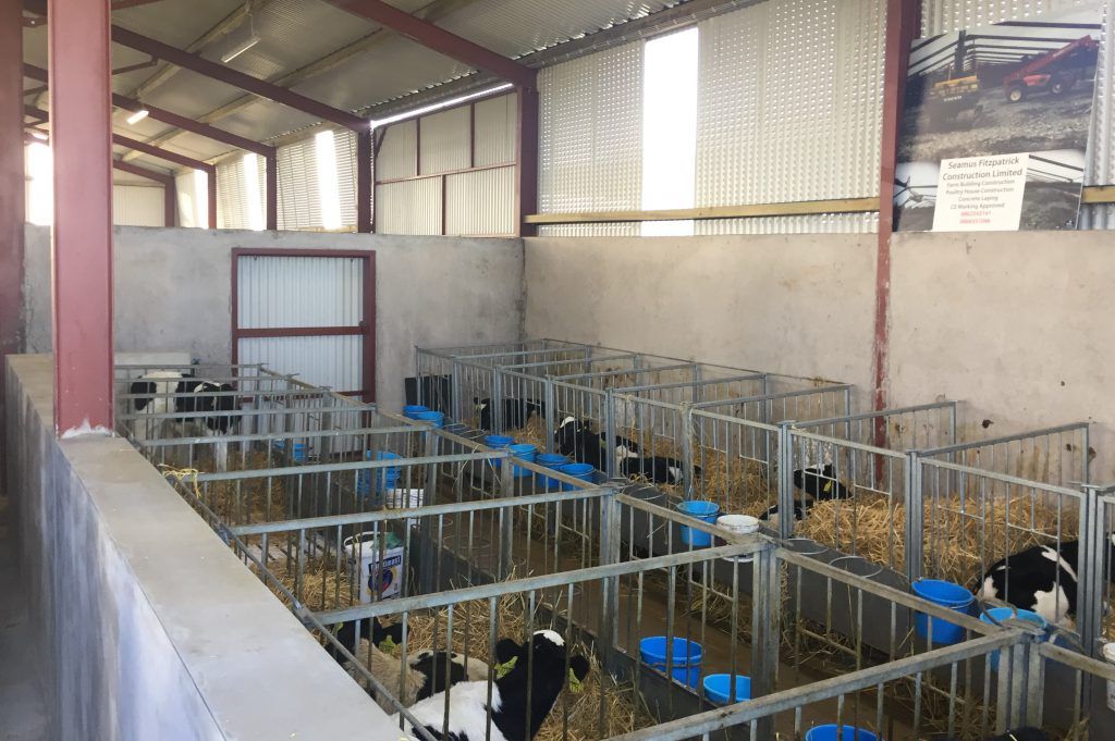 Is your calf shed in order for next spring?