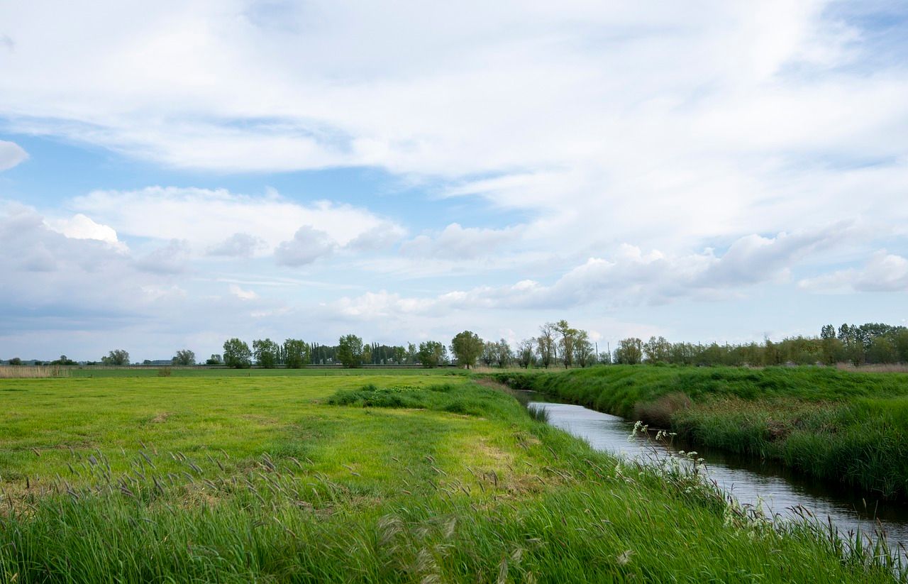 'ReNure' fertiliser rules now in crosshairs of EU green groups