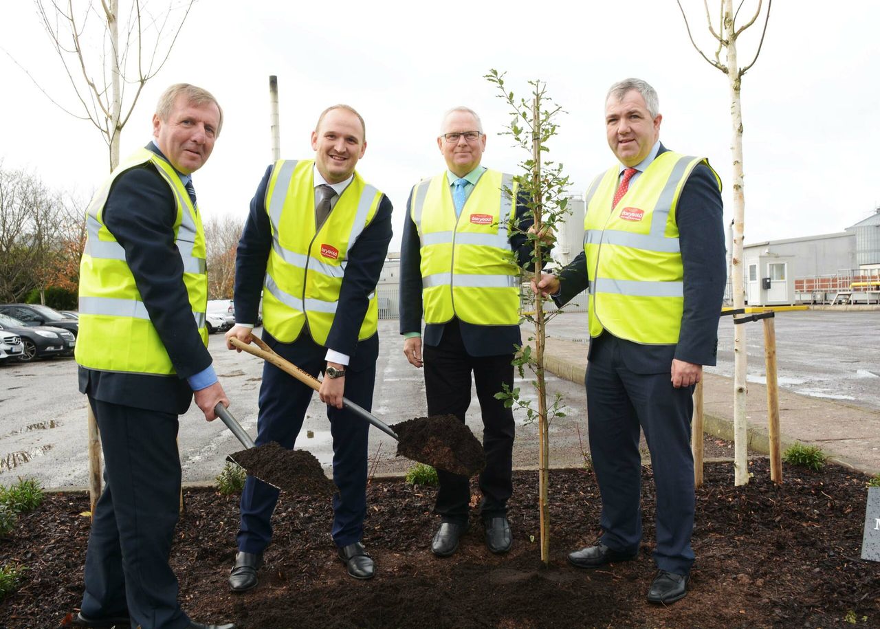 Cork site to become an 'international centre of excellence for cheese production'