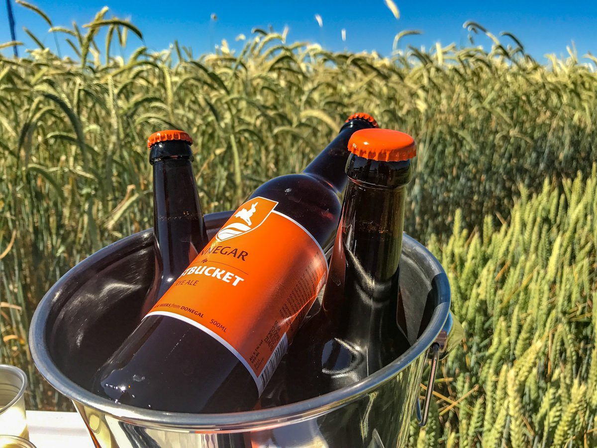 Rye is the talked about crop of the season