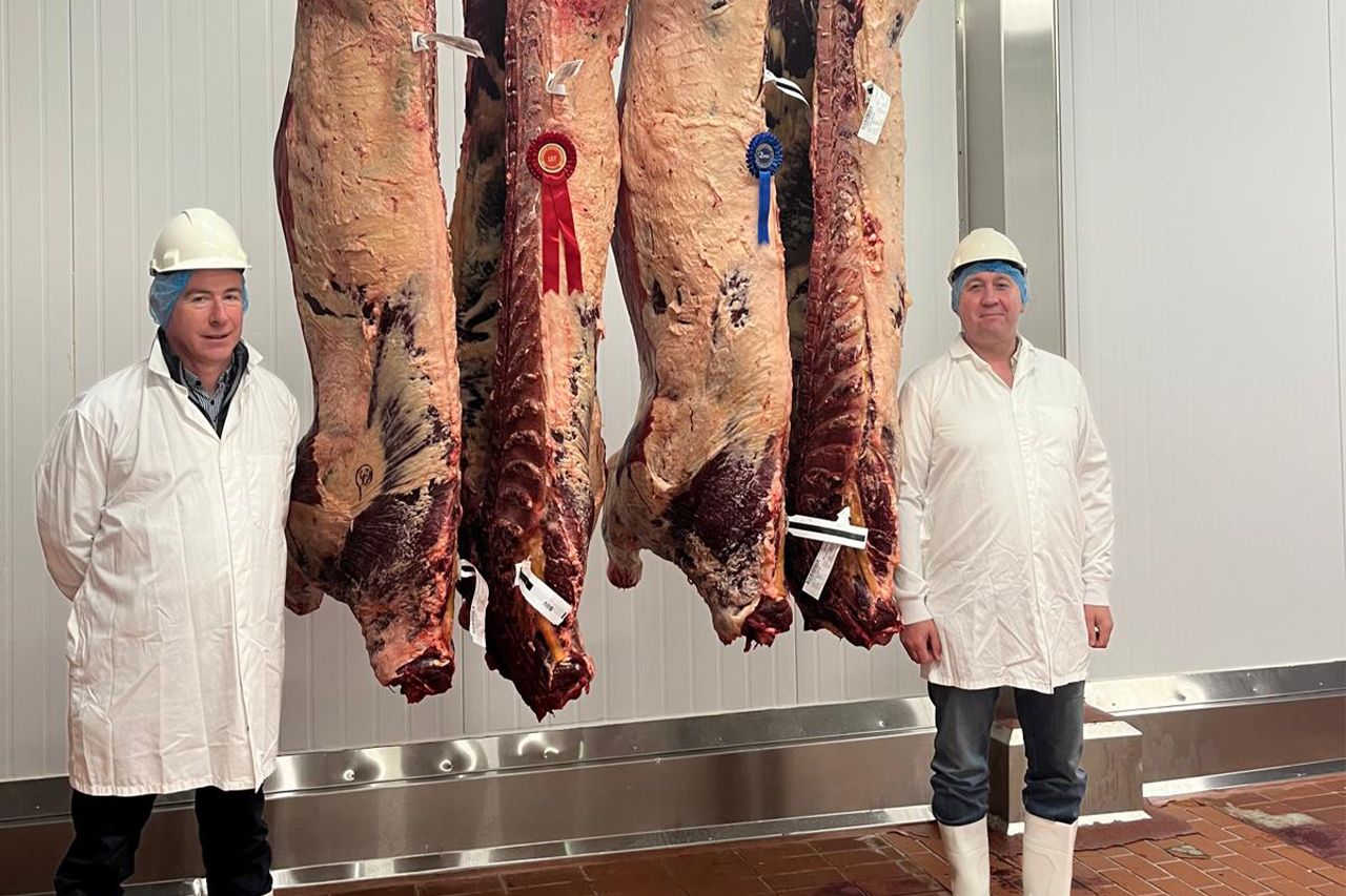 Cork and Mayo cows win Ashbourne Meats Limousin carcase competition
