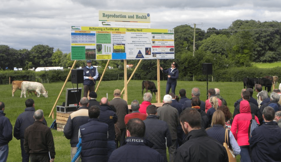 Site map: What's on the agenda at Teagasc's BEEF 2018 event?