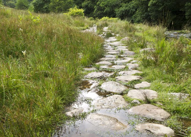 Latest GLAS details released by Department of Agriculture