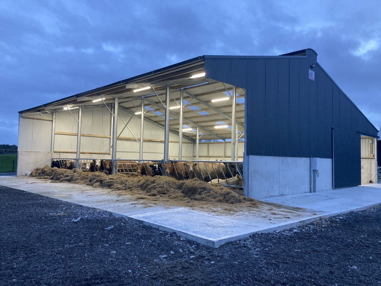 Buildings Focus: 4-bay slat, loose area and handling facility in Galway