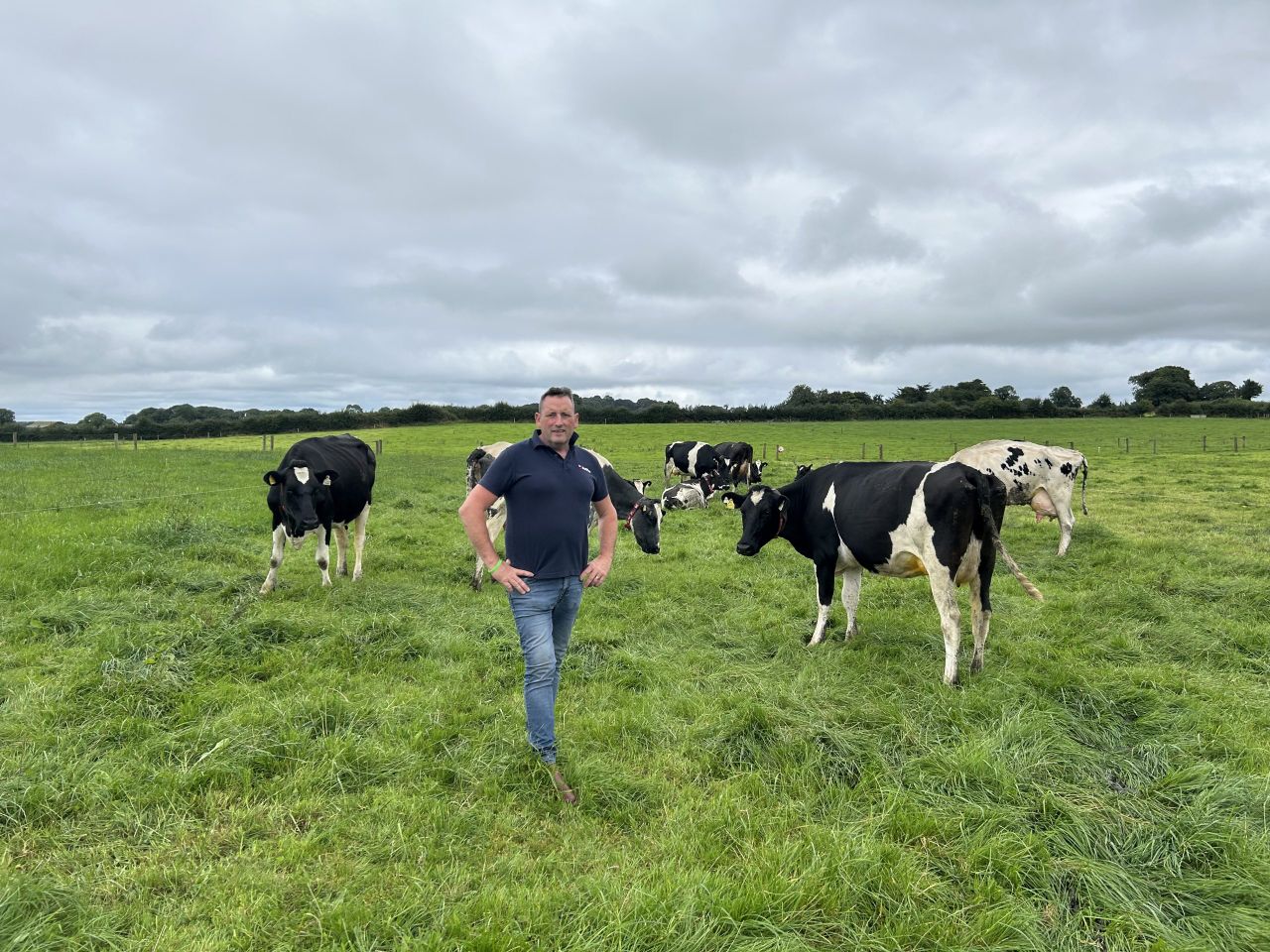 Listen: Breeding cows for high grass intake, capacity &amp; depth