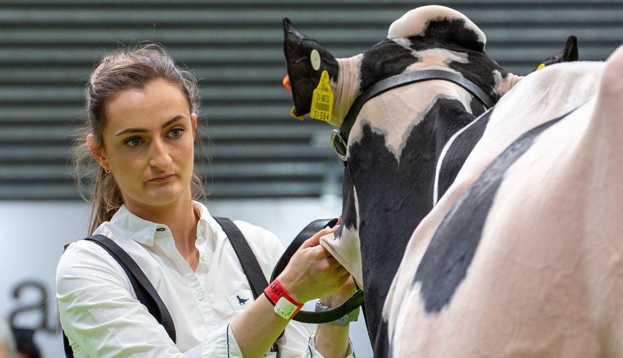 Spotlight on women farmers at FBD National Dairy Show