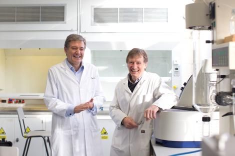 Exploring milk proteins for sports performance and healthy aging