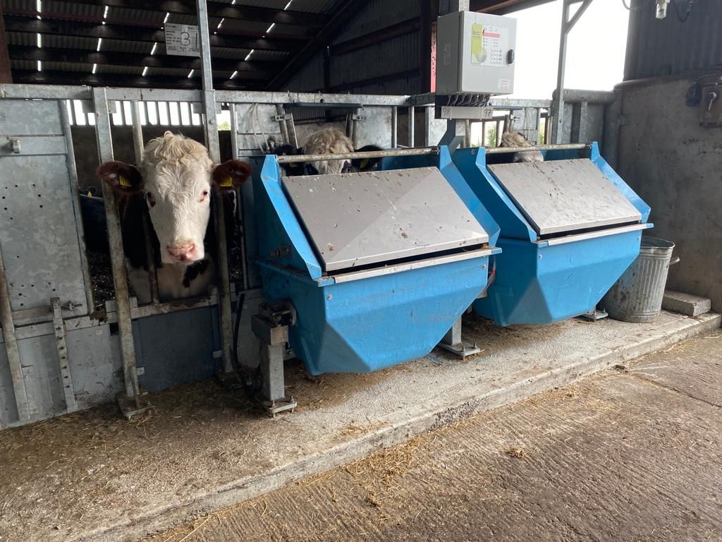 Finishing cattle: 'An ounce of breeding worth 20t of feeding'