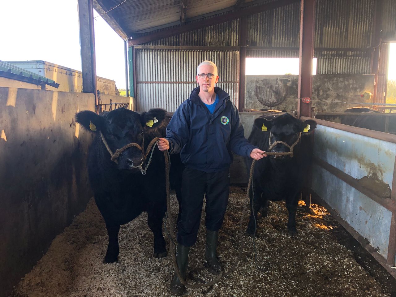 Beef Focus: 'The bull was good enough to sell in Scotland, so that's exactly what we did'