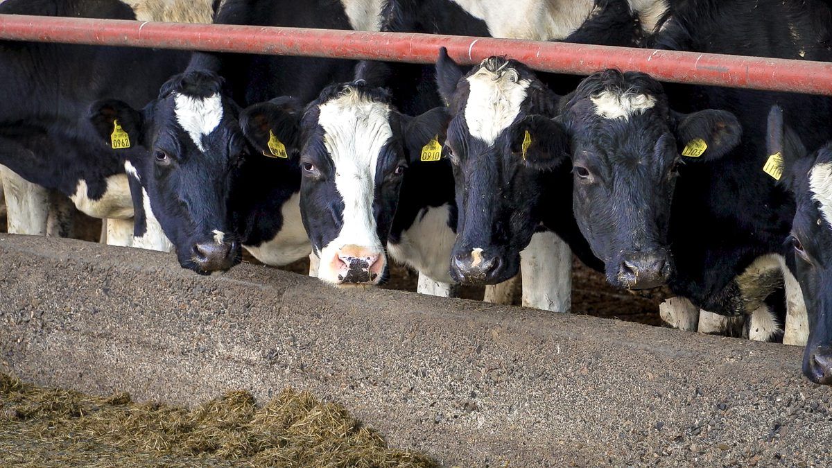 Dairy income securing meeting to cover nitrates and costs