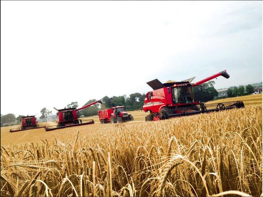 Trade suppliers must support grain farmers - IFA