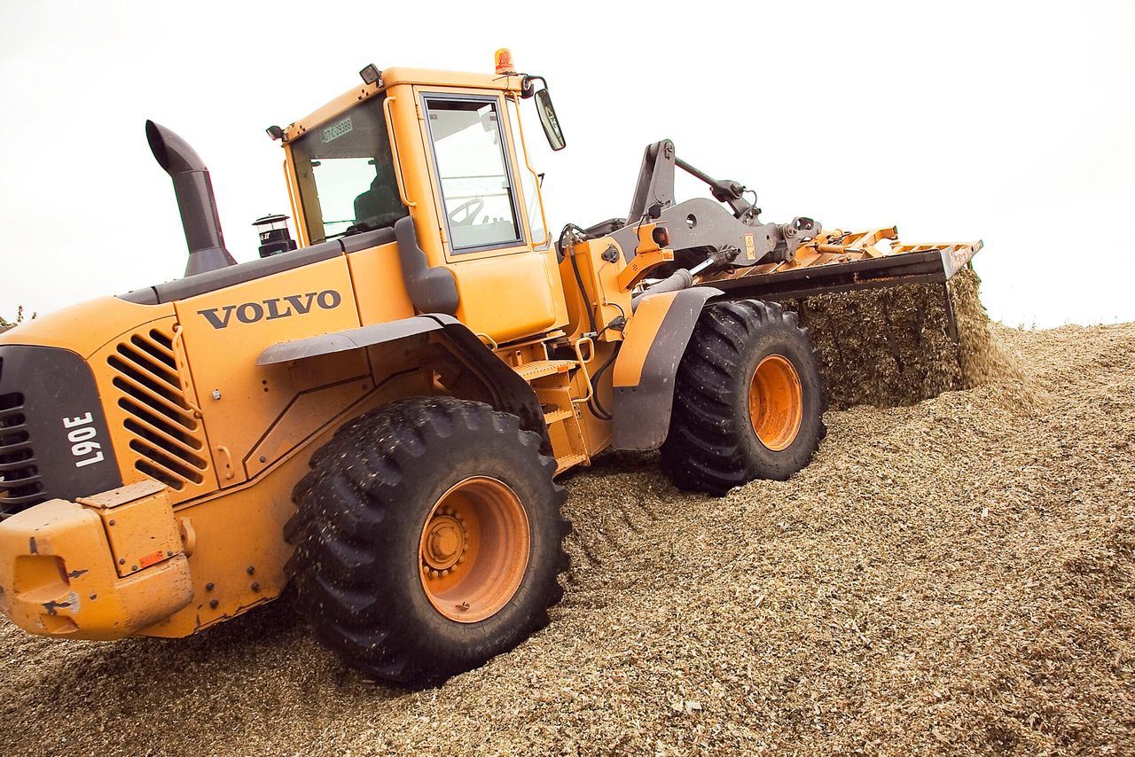 Wholecrop ready to harvest