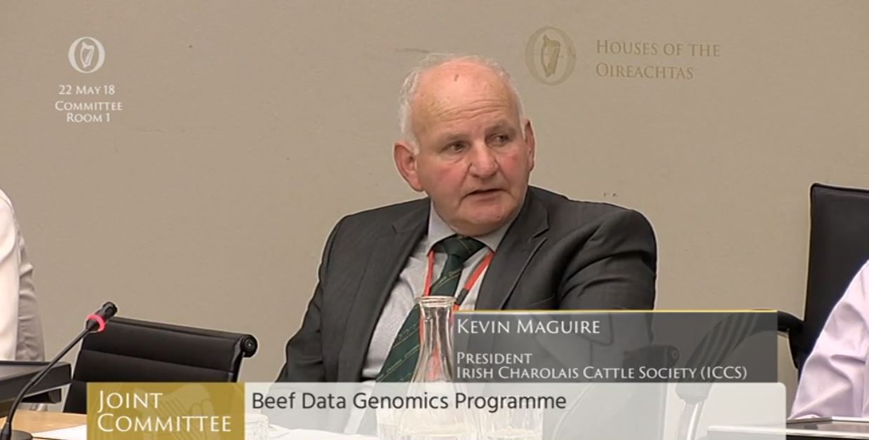 Irish man elected president of the Charolais International Congress
