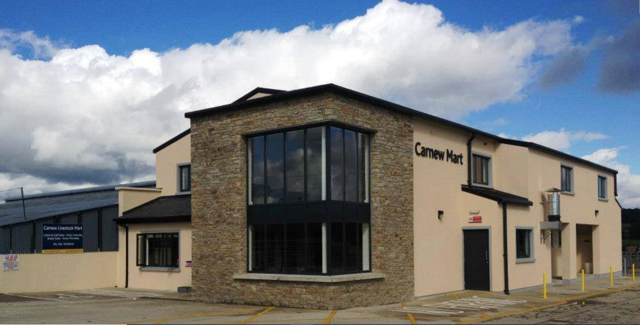 Mart report: Over 900 cattle on offer at Carnew Mart