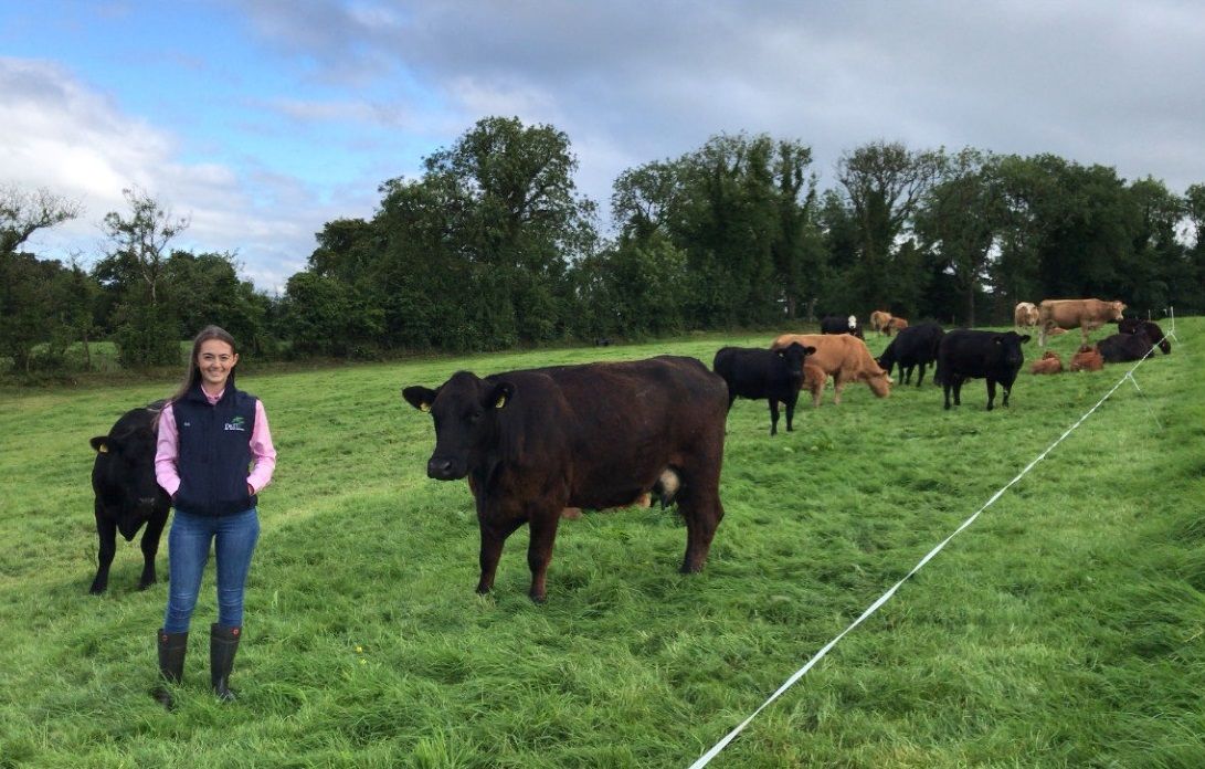 'Beef price must be addressed urgently'