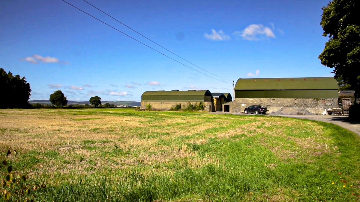 Farmers need 'vital' stamp duty tax reliefs to be retained - ICMSA