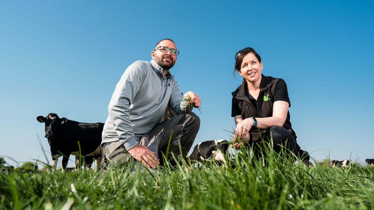 Why choose yield and quality? Get the best of both for your next reseed