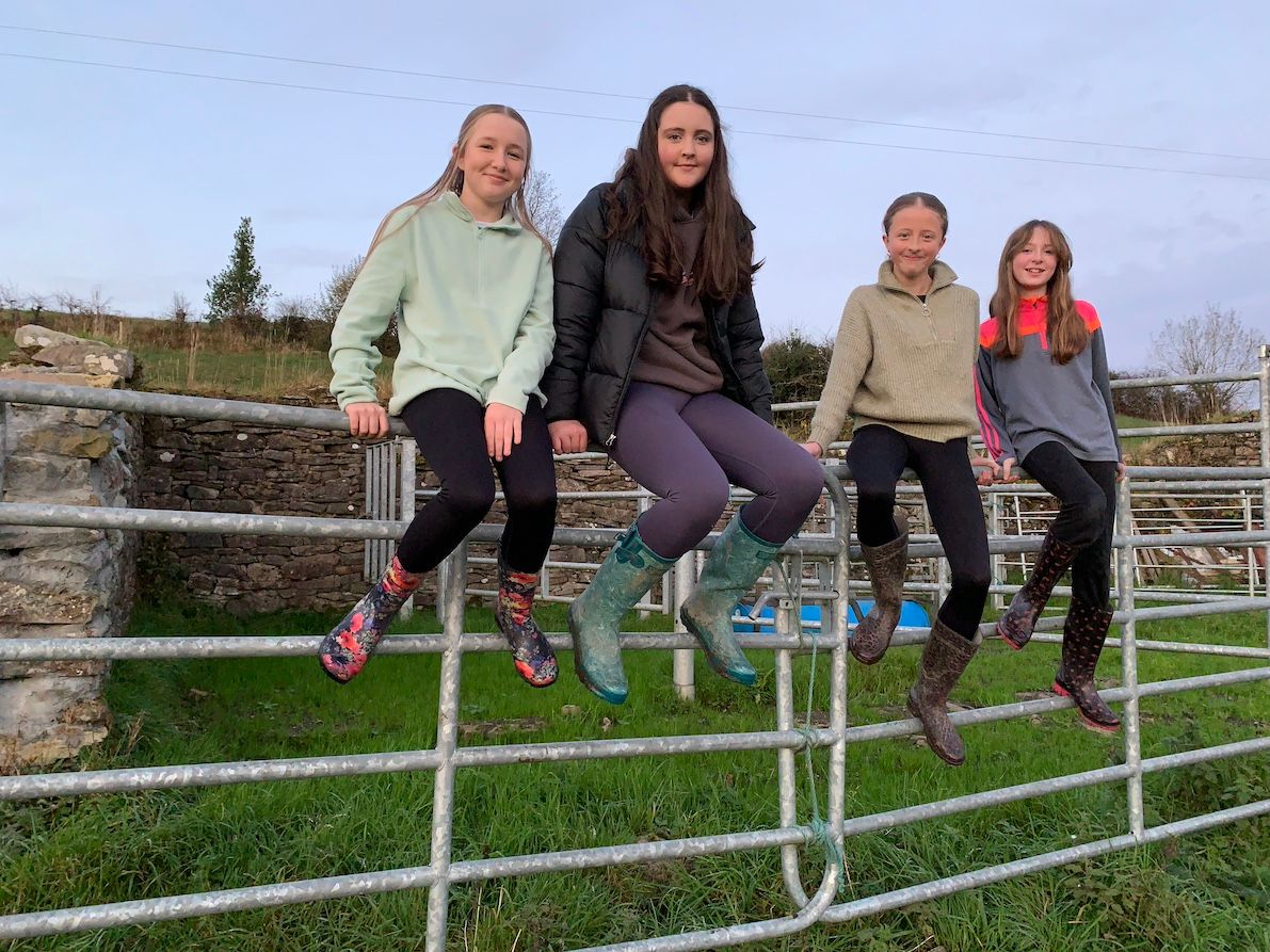 Drumshanbo students win for electric fence 'Wasp' product