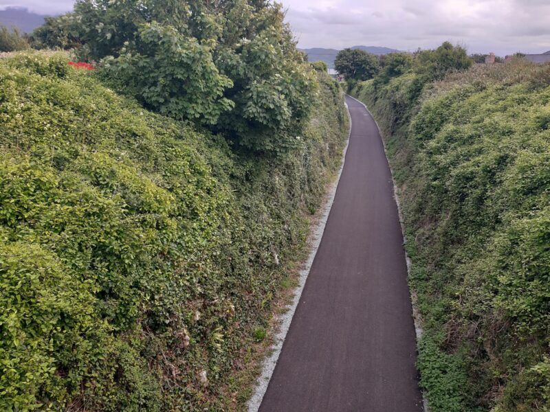 Watch: 'There should be no CPOs' when it comes to greenways - Fitzmaurice