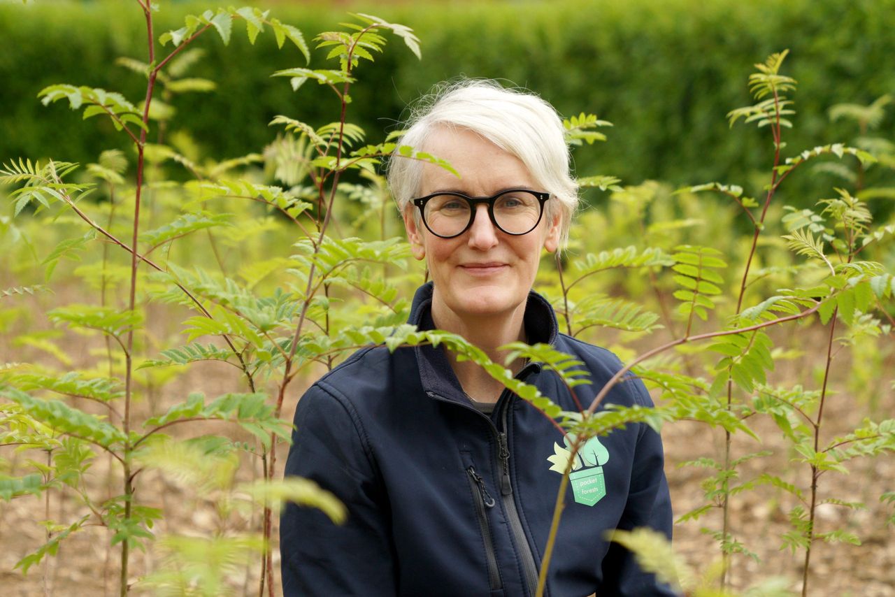 Documentary follows transformation from farm to forest in Roscommon