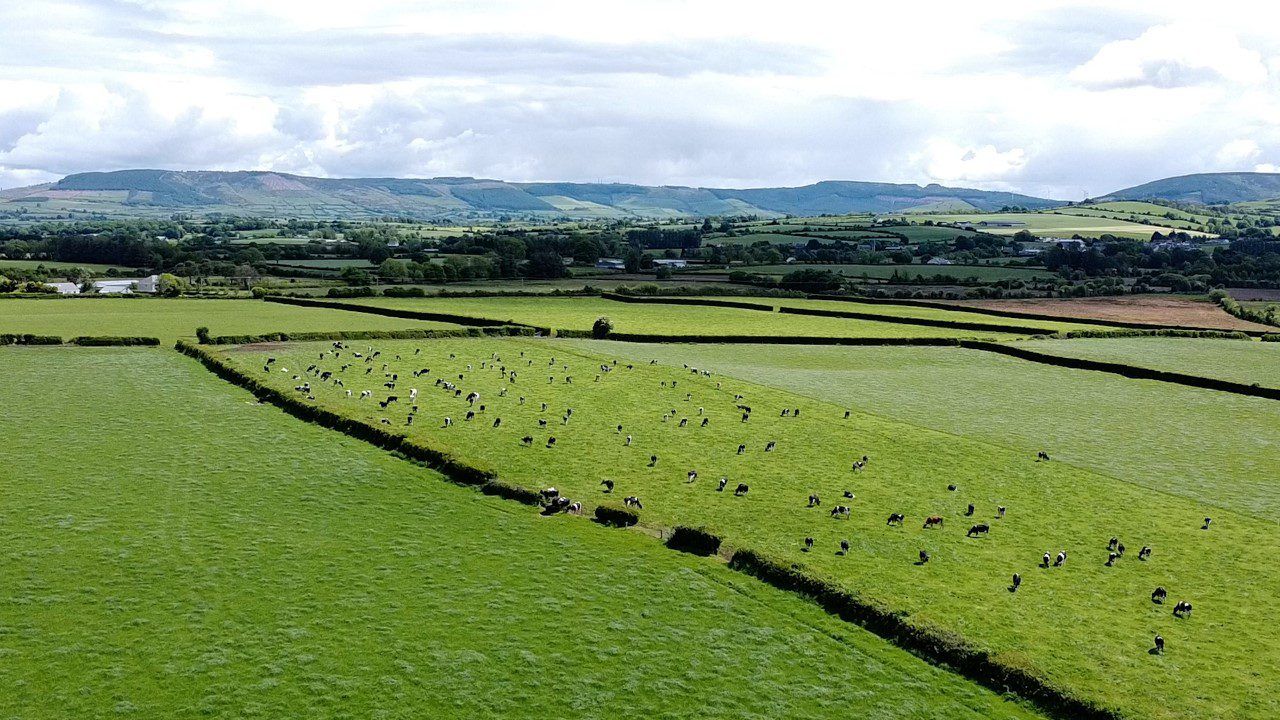 Sinn Féin: Little for farming families in Budget 2023
