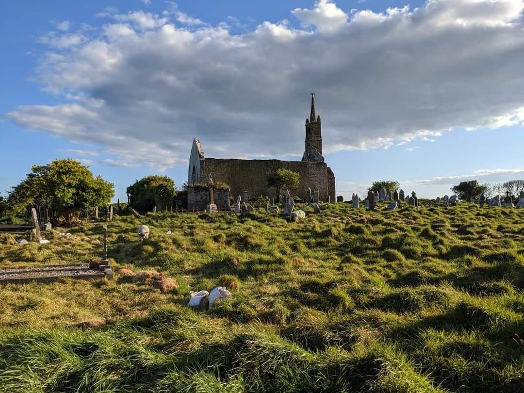 Historic graves from the 1800s uncovered by sheep in Cork