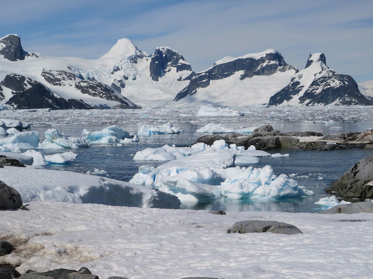 Bird flu detected in sub-Antarctic mammals for first time