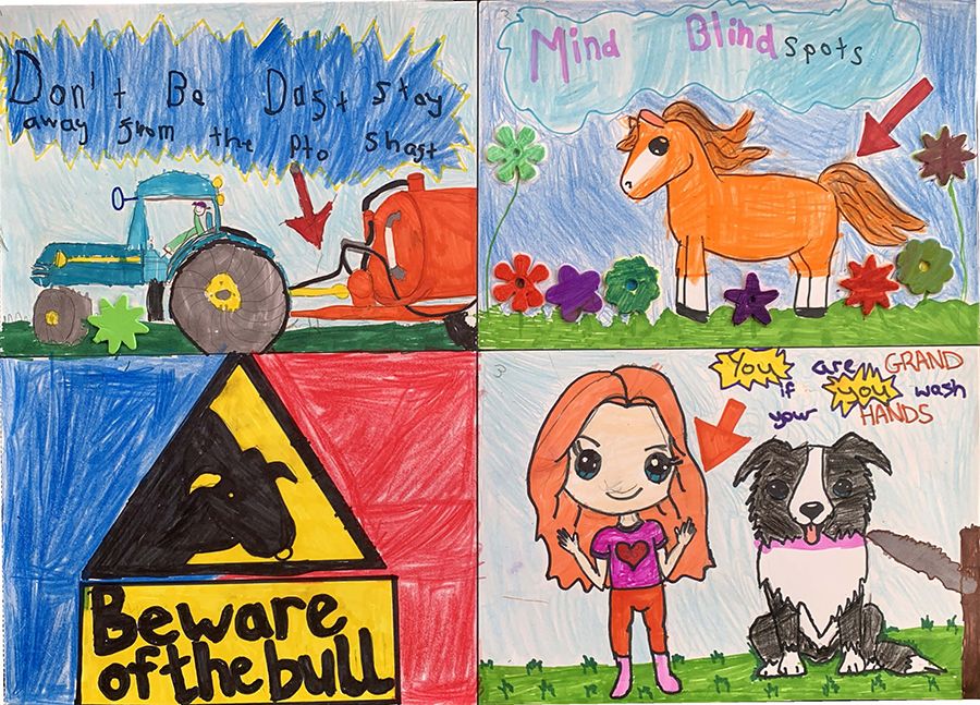 Jessy the sheepdog rounds up farm-safety comp winners