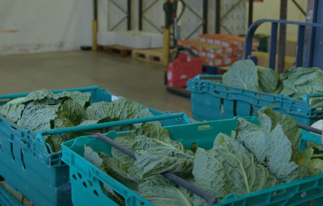 Watch: Growers' produce redistributed at FoodCloud Galway hub