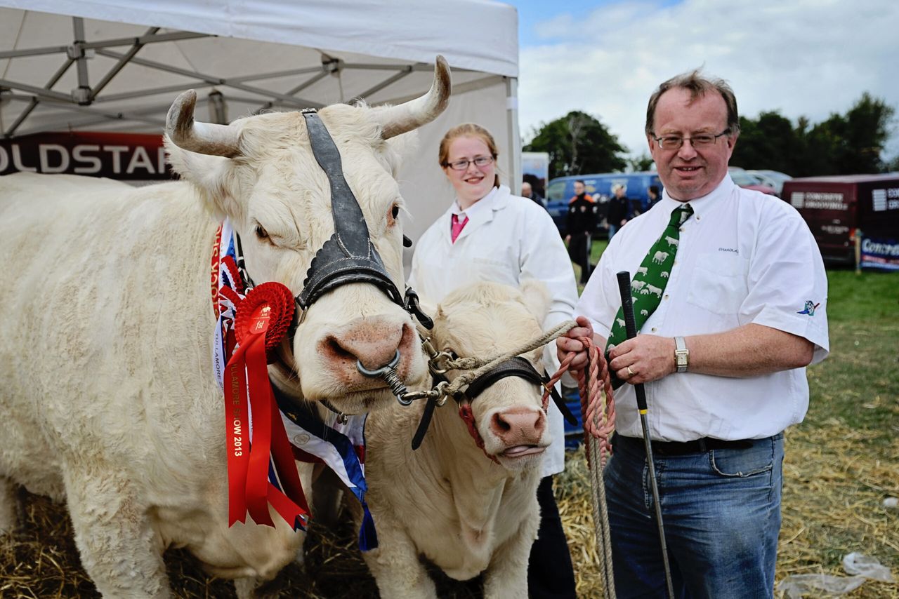 All things Tullamore Show