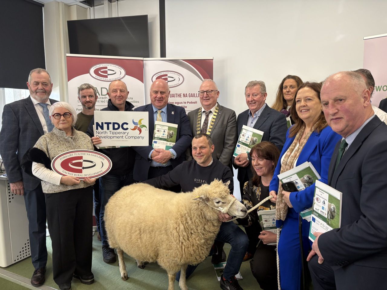 Report: Scouring plant needed to add value to Irish wool