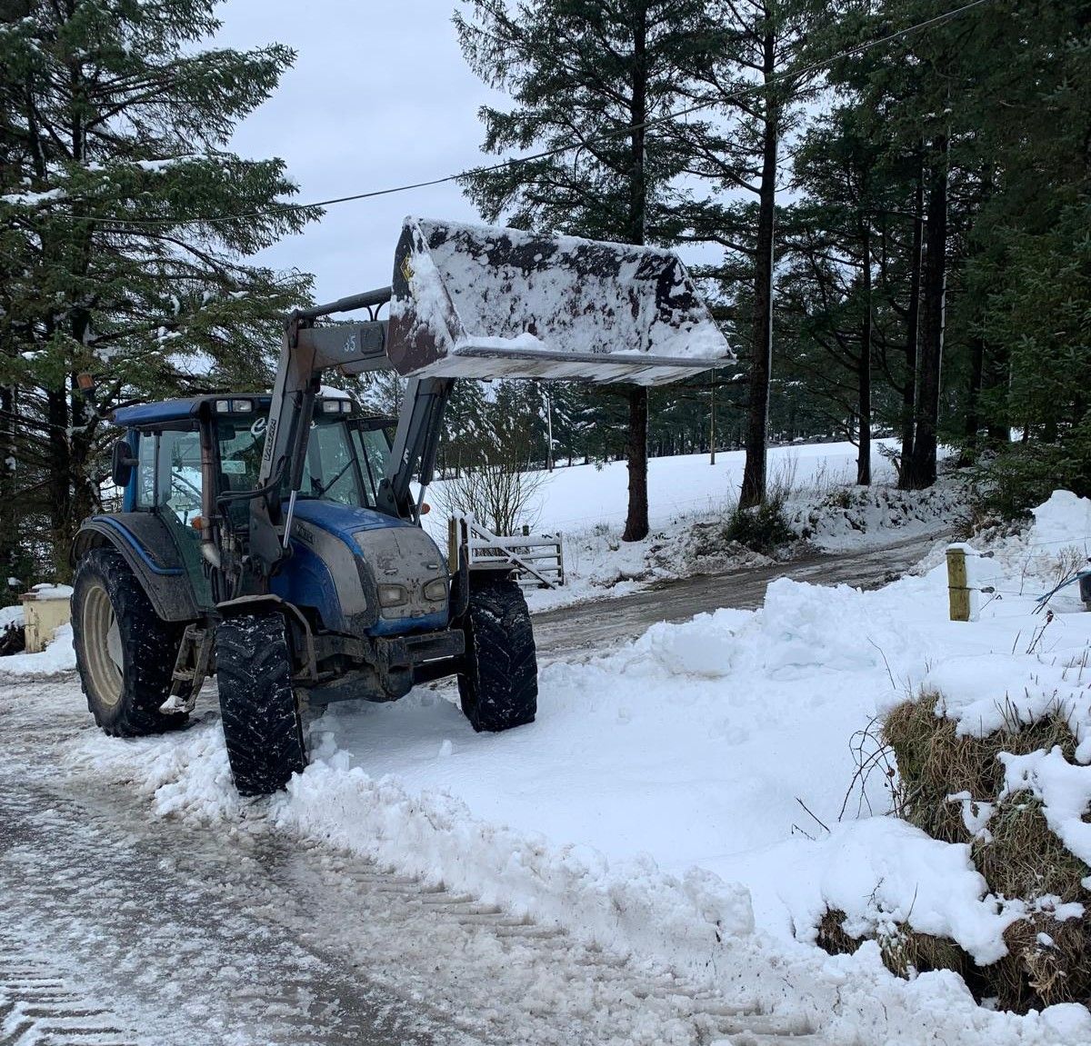 Watch: Farmers continue to help those cut off by snow