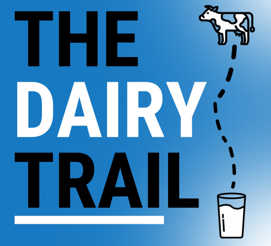 The Dairy Trail: Fleckvieh cows and once-a-day milking in Co. Clare