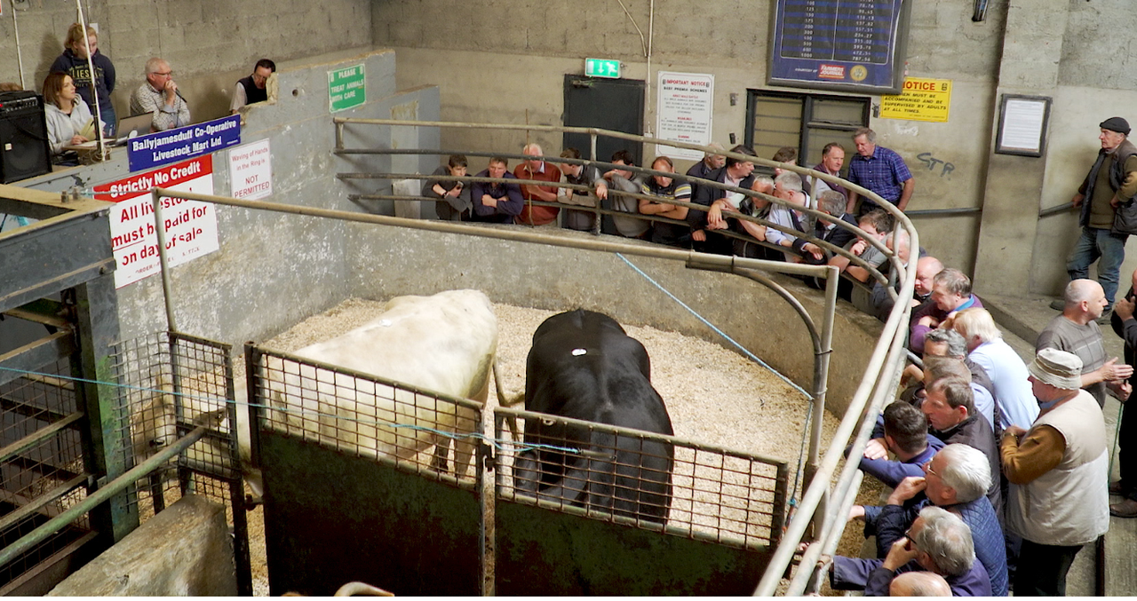 Video: Ballyjamesduff Mart goers react to Mercosur deal