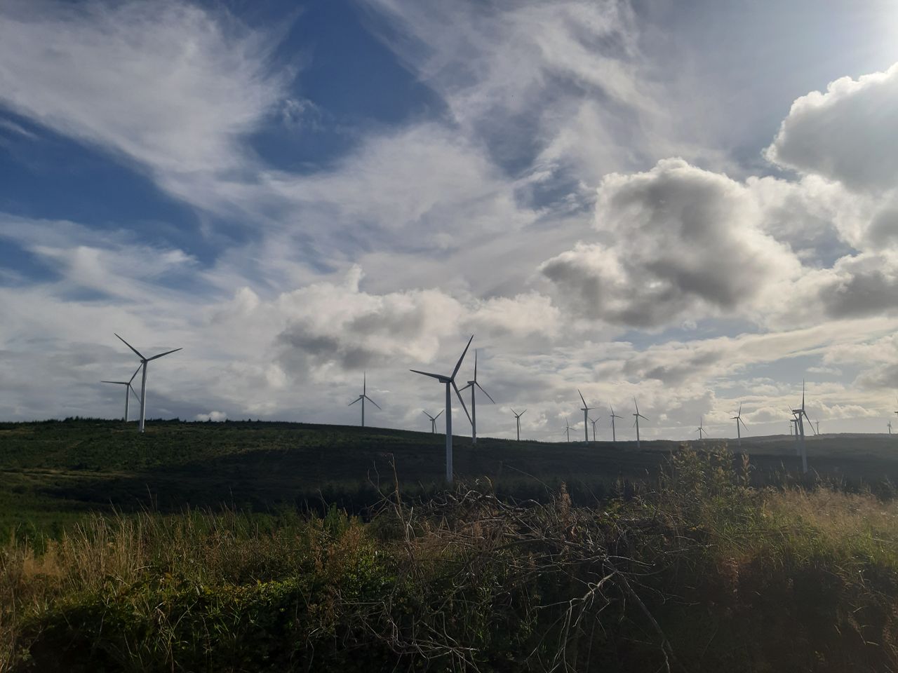 Wind energy provided 31% of Ireland's electricity last month