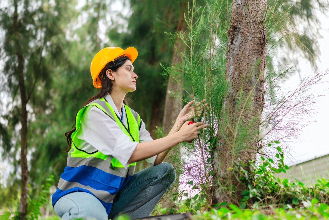 Survey highlights need for greater visibility of women in forestry